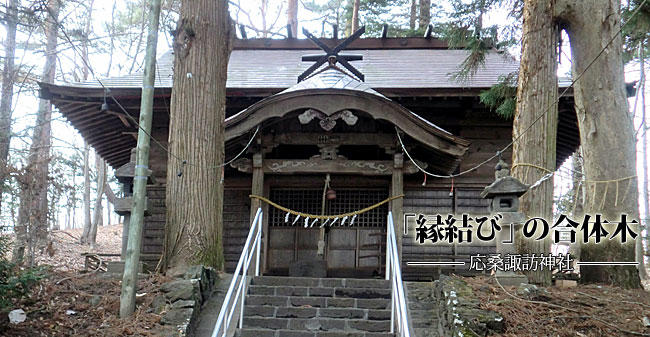 「縁結び」の合体木　応桑諏訪神社